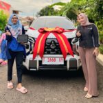 Customer Mitsubishi